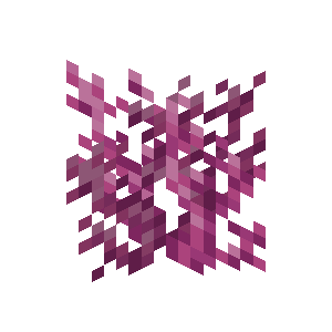 Plik:Koralowiec mózgowaty.png