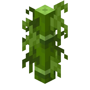 Plik:Gruby bambus z małymi liśćmi BE1.png