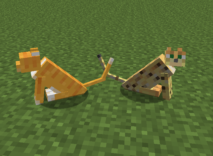 Plik:Kot jako ocelot.png