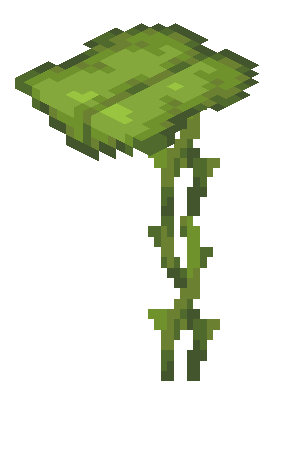 Plik:Nieprzechylona wielka mimoza.png