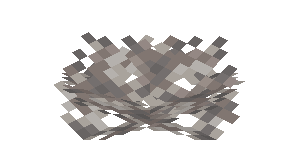 Plik:Martwy wachlarz koralowca rurkowatego.png