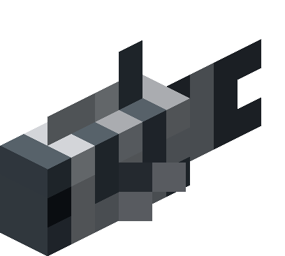 Plik:White-Gray Dasher.png