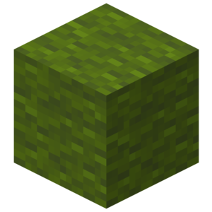 Plik:Zielona wełna.png