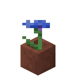 Plik:Chaber w doniczce.png