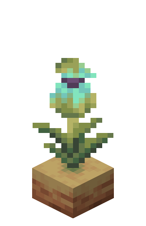 Plik:Rosnący dzbanecznik Faza 3.png