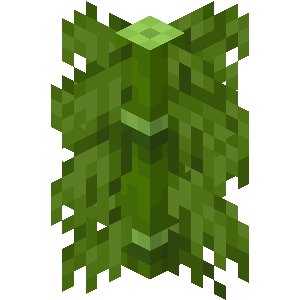 Plik:Gruby bambus z wielkimi liśćmi BE1.png