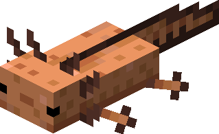 Plik:Brązowy aksolotl.png
