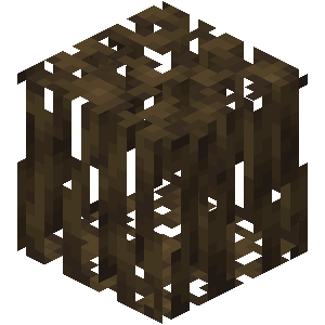 Plik:Mangrove Roots JE2.png