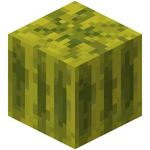Plik:Arbuz (blok) przed Texture Update.png
