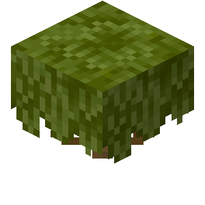 Plik:Sadzonka azalii.png