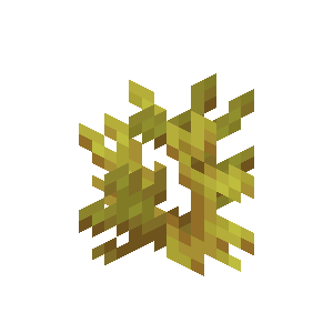 Plik:Koralowiec rogaty.png