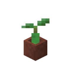 Plik:Siewka namorzynu w doniczce.png