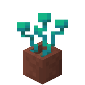 Plik:Spaczone korzenie w doniczce.png