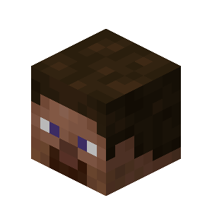 Plik:Głowa gracza 1.19.3.png