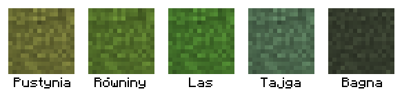 Plik:Zróżnicowany wygląd trawy bloku trawy.png