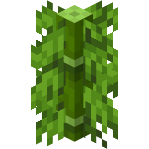 Plik:Gruby bambus z wielkimi liśćmi JE1 BE2.png