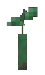 Plik:Propagula namorzynu.png