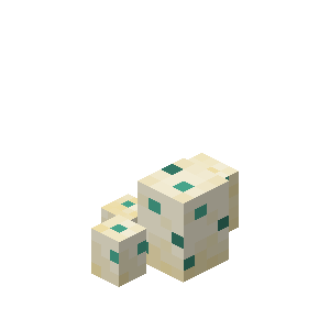 Plik:Jajko żółwia 4.png