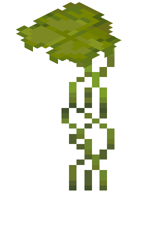 Plik:Wielka mimoza (pre2).png