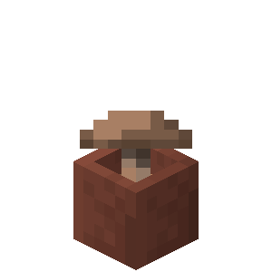 Plik:Brązowy grzyb w doniczce.png