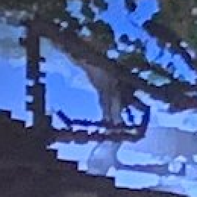 Plik:Jaskinia siatkowa.png