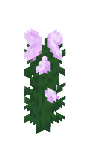 Plik:Piwonia przed Texture Update.png