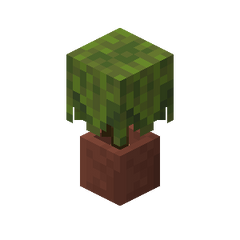 Plik:Azalia w doniczce.png