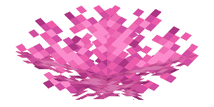 Plik:Pionowy wachlarz koralowca mózgowatego.png