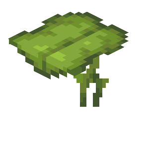 Plik:Wielka mimoza w 21w05a.png