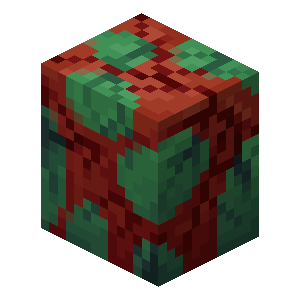 Plik:Mocno popękane jajo niuchacza.png