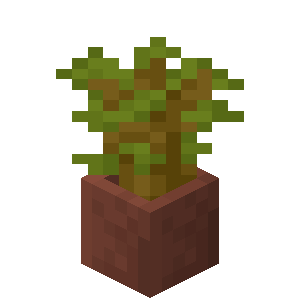 Plik:Sadzonka akacji w doniczce.png