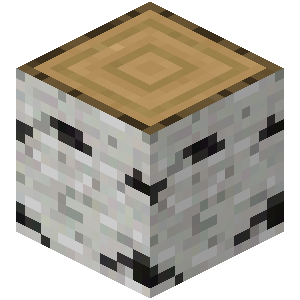 Plik:Brzozowy pień Beta.png