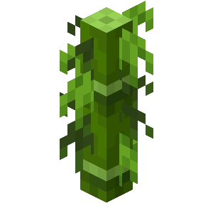 Plik:Gruby bambus z małymi liśćmi JE1 BE2.png