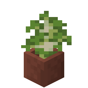 Plik:Sadzonka brzozy w doniczce.png