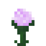 Plik:Mała piwonia 1.7.2.png