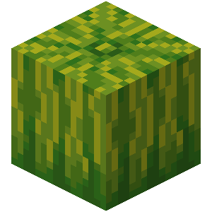 Plik:Arbuz (blok).png