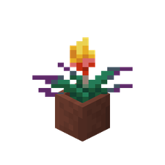 Plik:Ognisty kwiat w doniczce.png