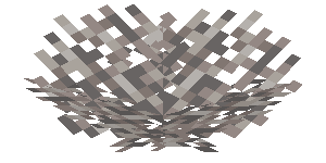 Plik:Martwy wachlarz koralowca ognistego.png