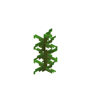 Plik:Rosnące wodorosty.gif