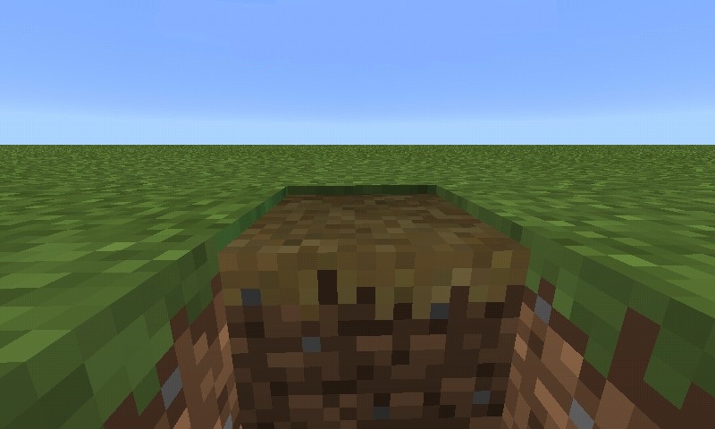 Plik:Porównanie ścieżki i bloków trawy.jpg