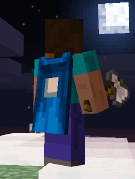 Plik:MineconCape3.png