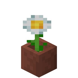 Plik:Margaretka w doniczce.png