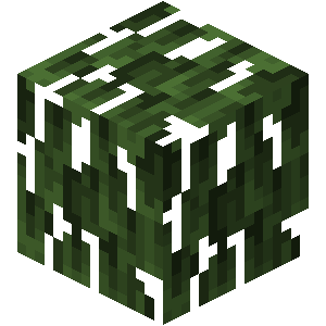 Plik:Namorzynowe liście JE1.png