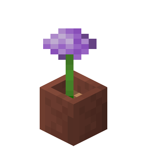 Plik:Czosnek w doniczce.png