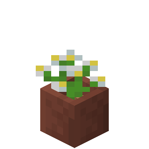 Plik:Houstonia błękitna w doniczce.png