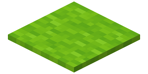 Plik:Jasnozielony dywan.png