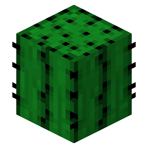 Plik:Kaktus przed Texture Update.png