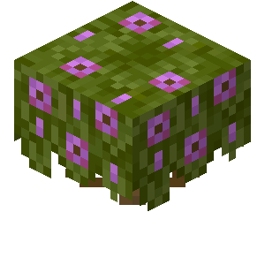 Plik:Kwitnąca sadzonka azalii.png