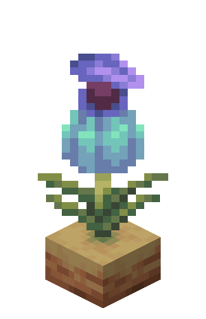 Plik:Rosnący dzbanecznik Faza 4.png