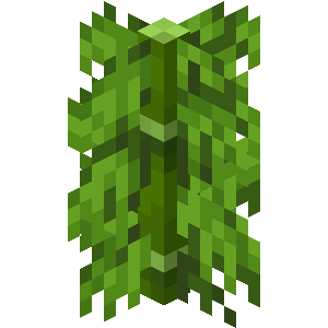 Plik:Bambus z wielkimi liśćmi JE1 BE2.png